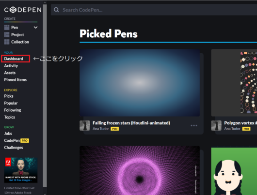 CodePen05